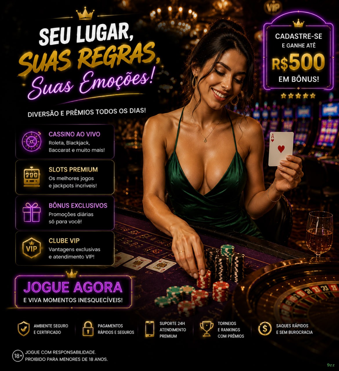Suporte VIP 9zz - atendimento prioritário